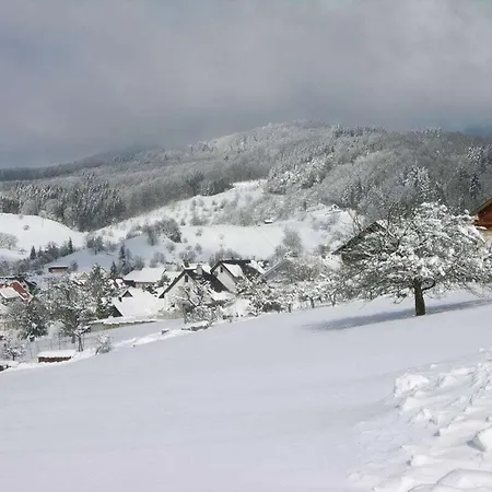 Haus Eichin Comfortable Holiday home